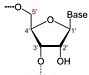 Molecular biology