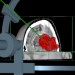 Využití 3D zobrazení intrakraniálních procesů pro výuku studentů na NCHK LF MU